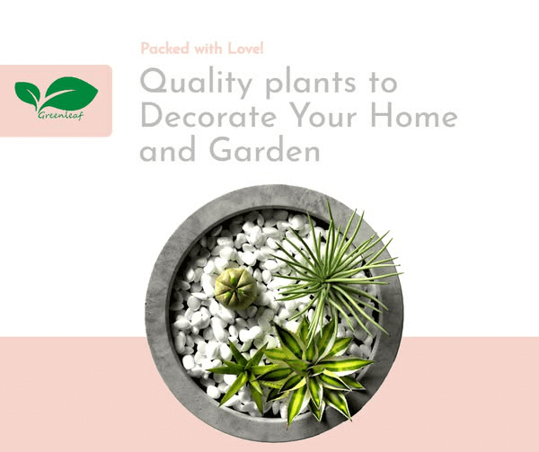 Greenleaf Garden Center